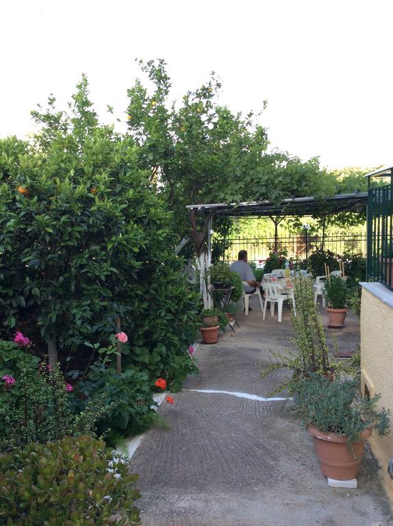 טולון Apartments Rania חדר תמונה